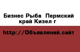 Бизнес Рыба. Пермский край,Кизел г.